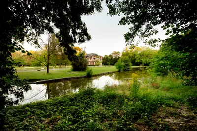 Domaine de la Nèle — the park, pond and old trees