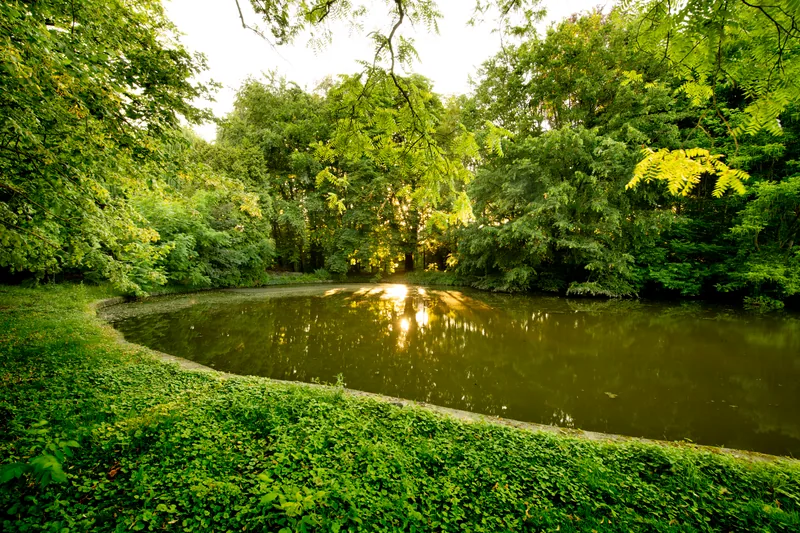 Domaine de la Nèle — the park, pond and old trees