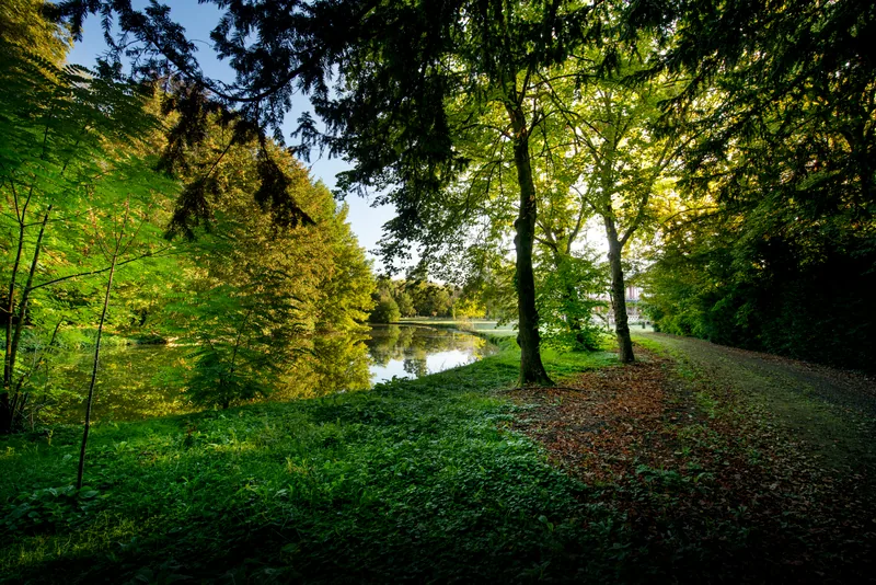 Domaine de la Nèle — Path beside the pond beneath mature trees