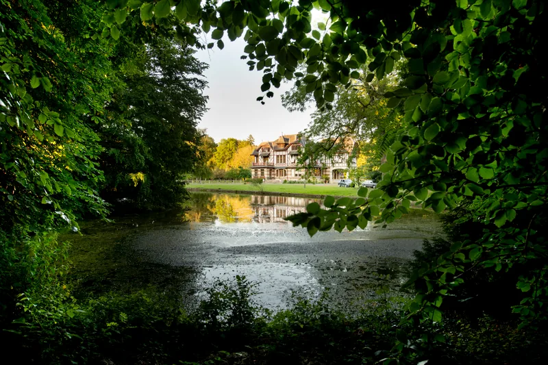 Domaine de la Nèle — the park, pond and old trees