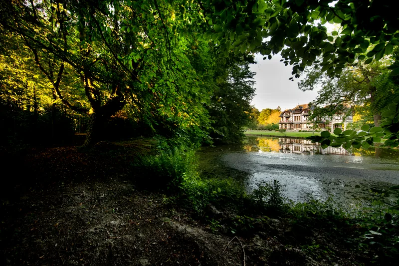 Domaine de la Nèle — the park, pond and old trees