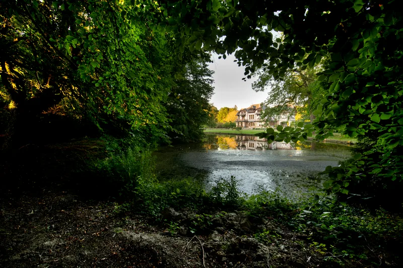 Domaine de la Nèle — the park, pond and old trees