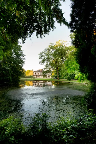 Domaine de la Nèle — the park, pond and old trees