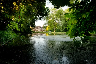 Domaine de la Nèle — the park, pond and old trees