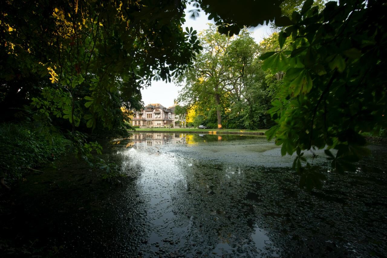 Domaine de la Nèle — the park, pond and old trees