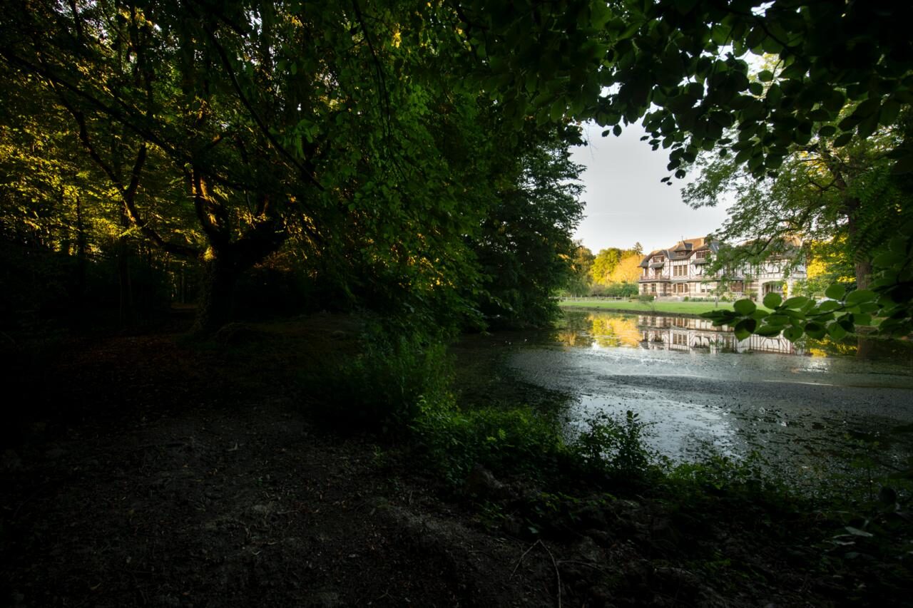 Domaine de la Nèle — the park, pond and old trees