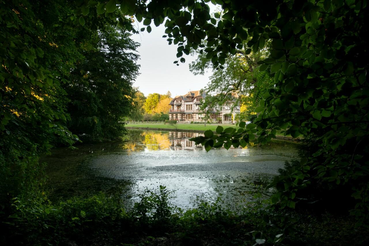 Domaine de la Nèle — the park, pond and old trees
