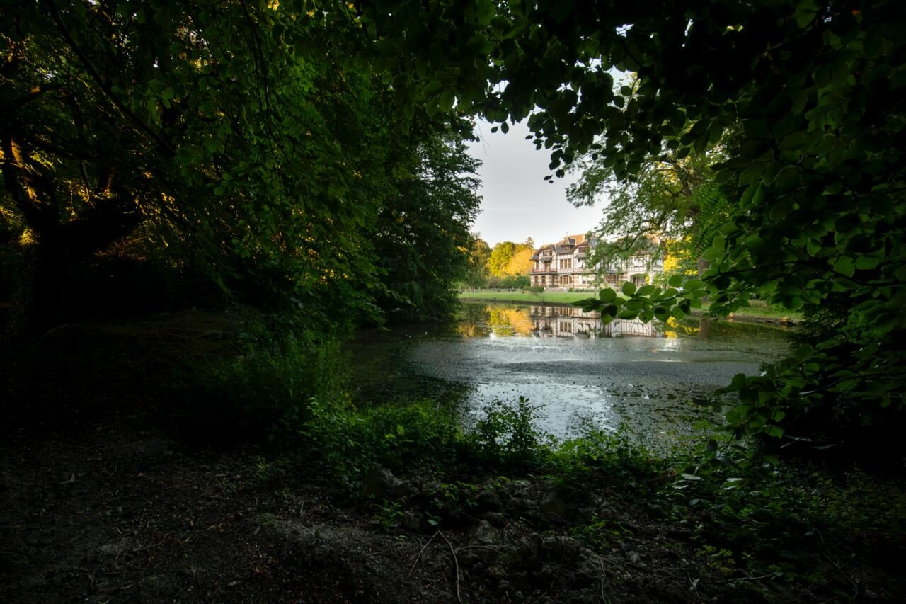 Domaine de la Nèle — the park, pond and old trees