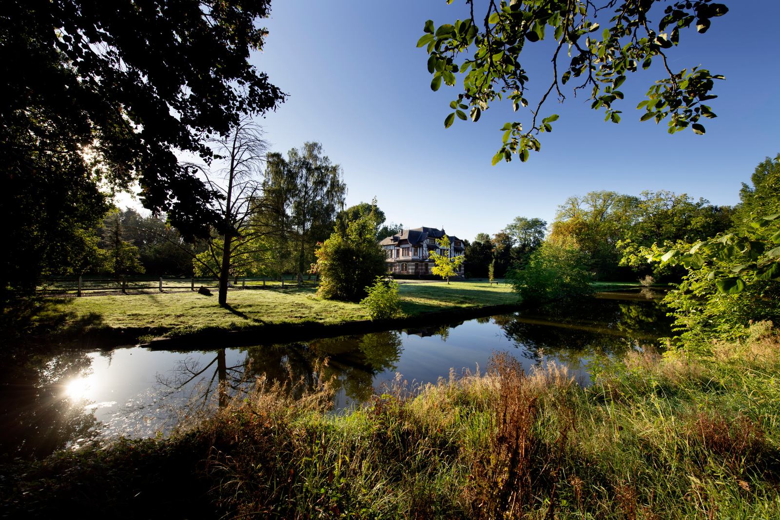 Domaine de la Nèle — the château glimpsed across the pond through reeds and trees